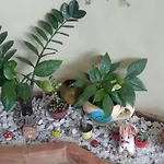Casa Para Temporada
